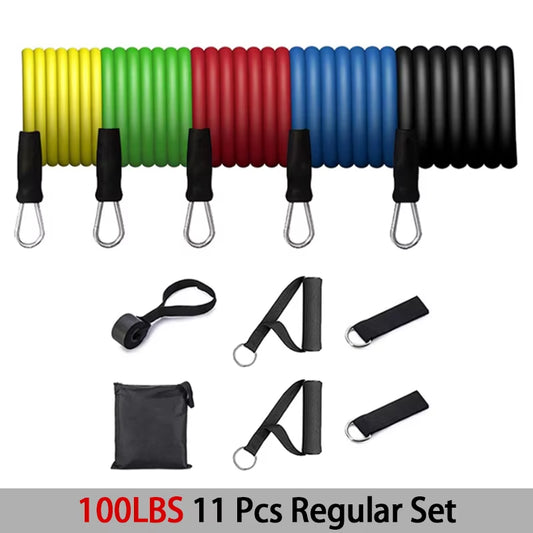 Resistance Bands Set, Resistance Bands with Door Anchor, Handles, Carry Bag, Exercise Bands, Workout Bands, for Home Gym